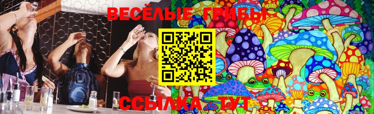 Галлюциногенные грибы Cubensis Камышлов