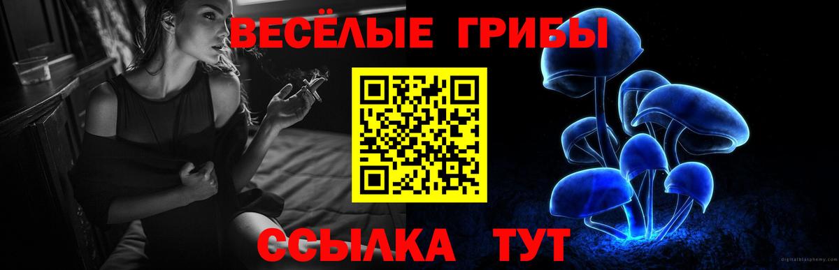 Камышлов  Псилоцибиновые грибы Psilocybe  Вход с VPN 